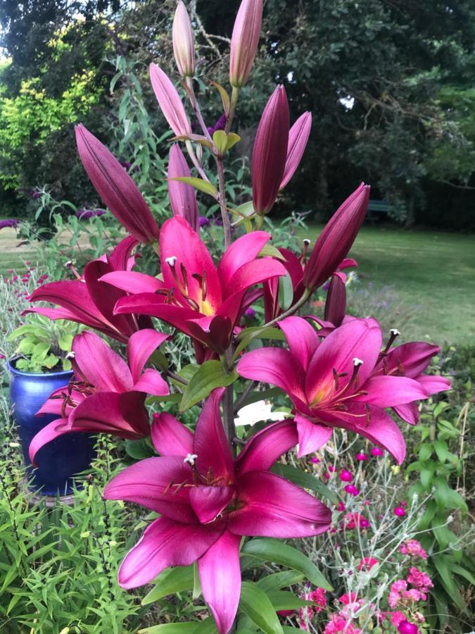 Newlands Bed And Breakfast West Melton Buitenkant foto